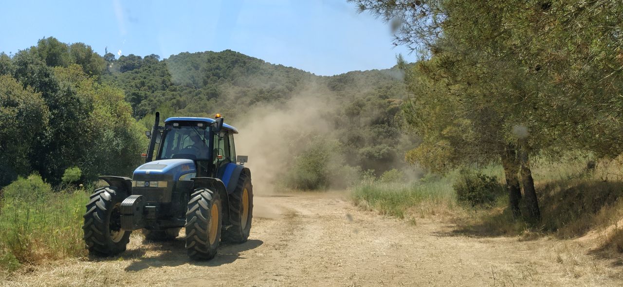 manteniment camins públics terme municipal, àrea de Serveis Municipals, Palafrugell