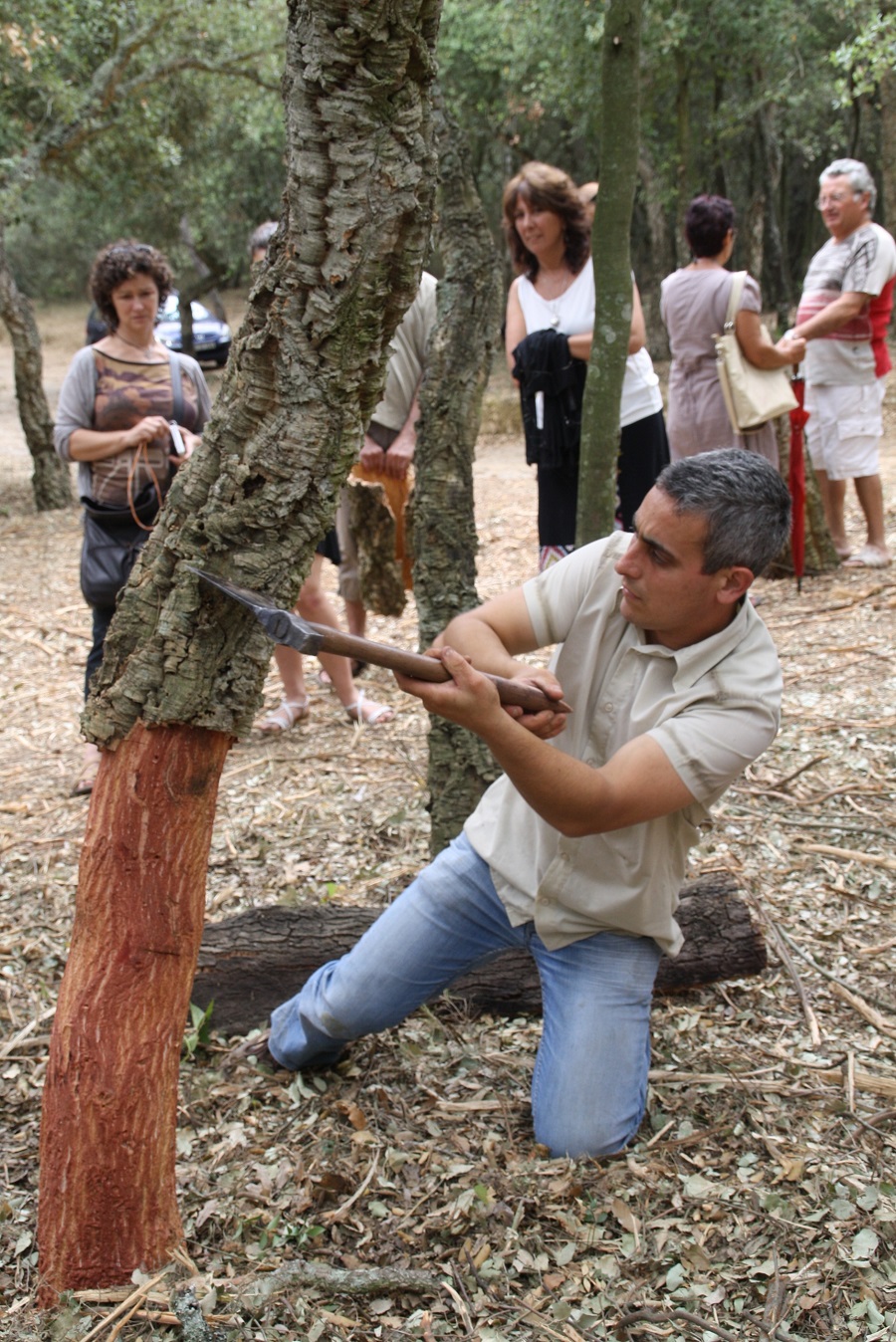 Festa Pela del Suro
