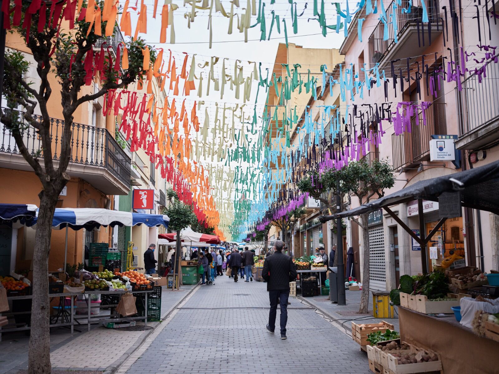 Flors i Violes 2021 Palafrugell