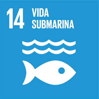 ODS 14 vida submarina