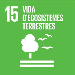 ODS 15 vida d'ecosistemes terrestres