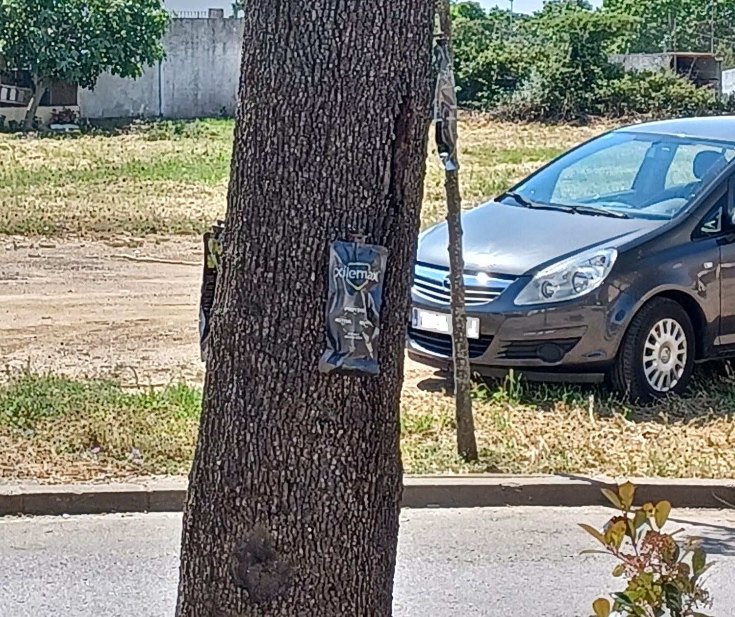 ”Actuació