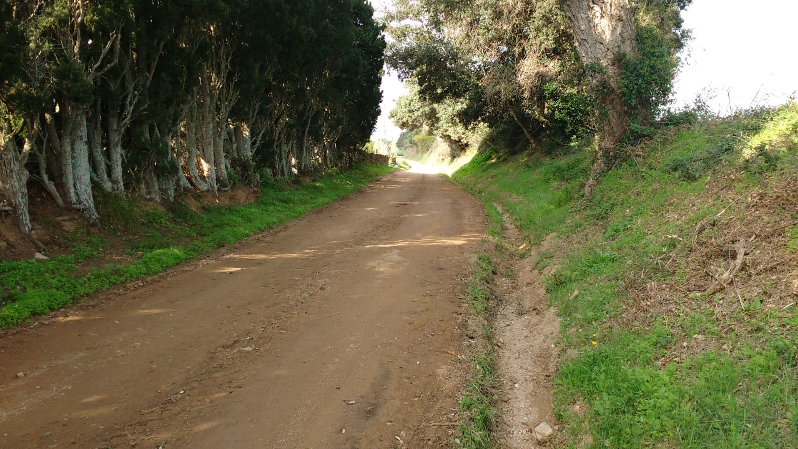 Camins arrenjament