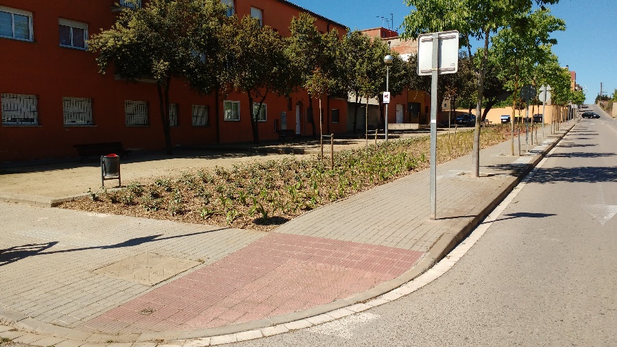 Enjardinament barri del pi verd
