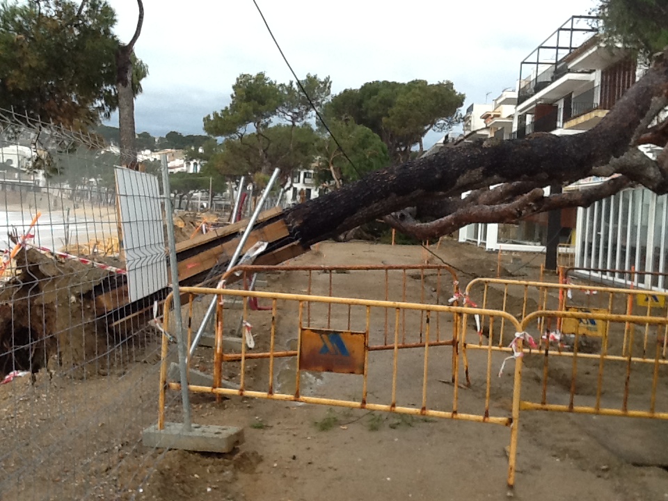 Llafranc temporal