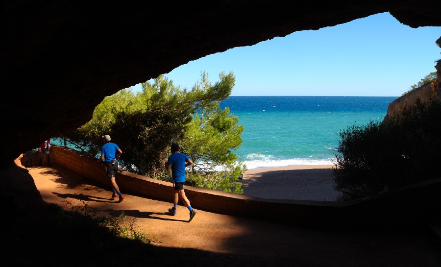 Oncotrail David Fajula