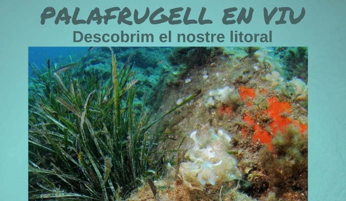 Palafrugell en Viu