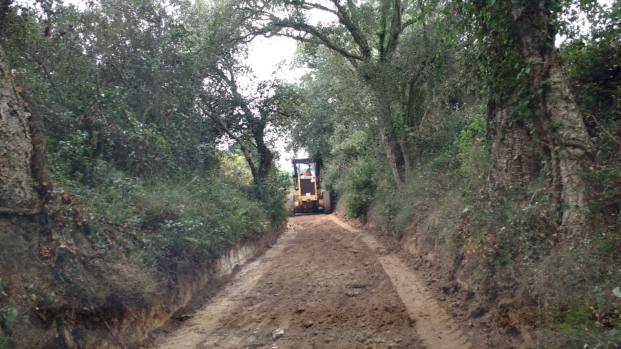 Reobertura camins