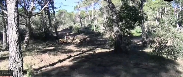 foto aigua xelida