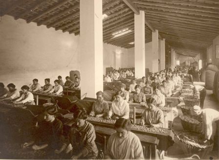 Ruta_guiada_Dones_del_Suro-J.Mas-_Museu_Suro