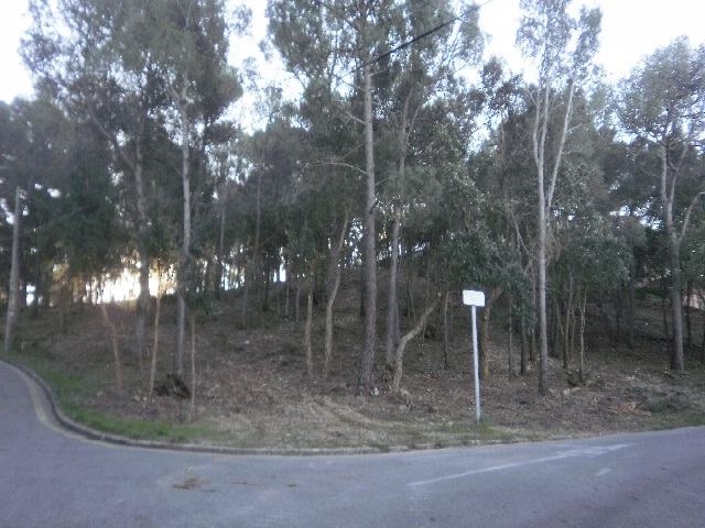 Treballs_en_matria_de_prevenci_dincendis_-_Zona_de_El_Far