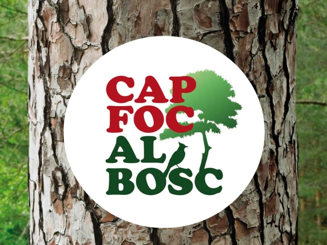 cap_foc_al_bosc_2