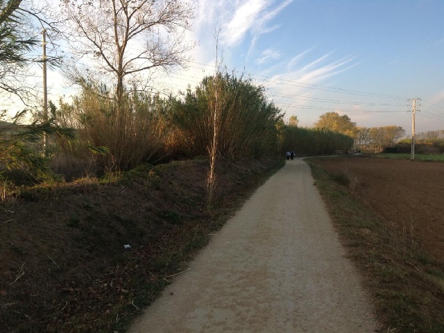 carril-endesa