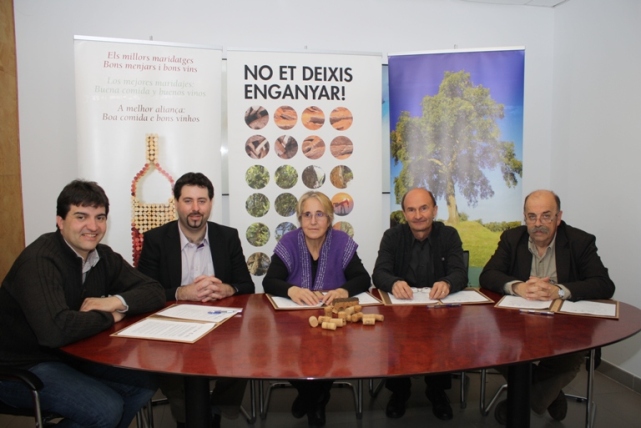 conveni-taps-suro-web