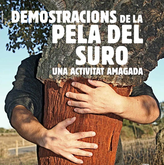 demostracions-pela-suro
