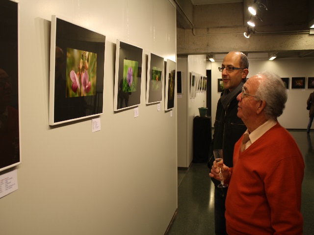 expo-flors
