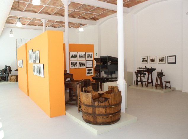 museu-suro