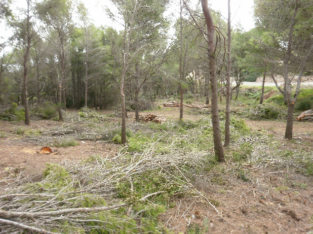 neteja-forestal-web