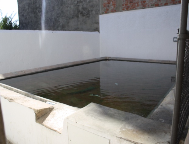 safareig-carrer-ample