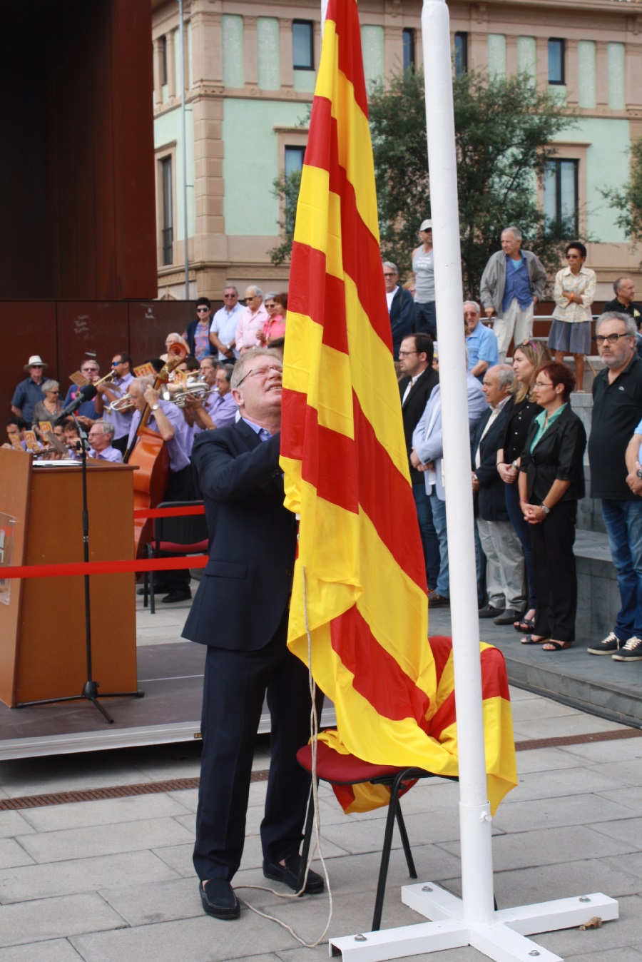Diada 2015 01