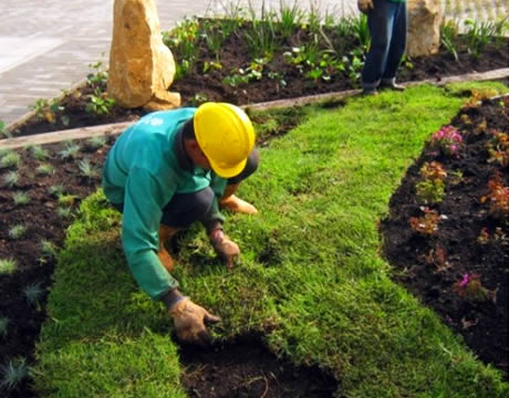 Palafrugell oferirà un mòdul dauxiliar de vivers i jardins