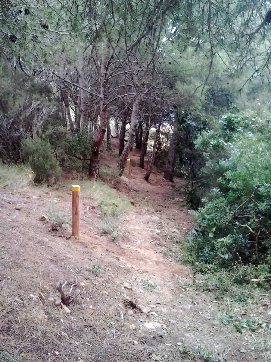 cami-cala-marquesa