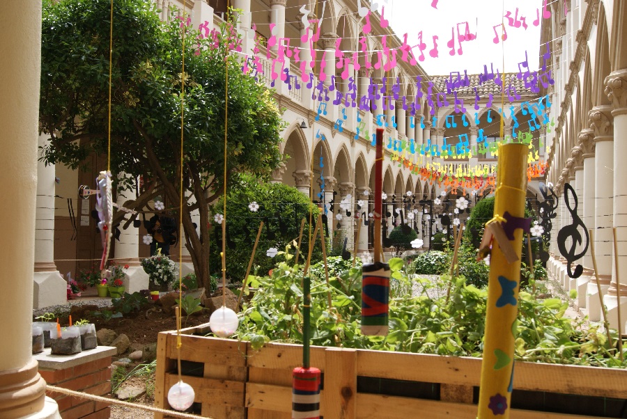 flors i violes 2015