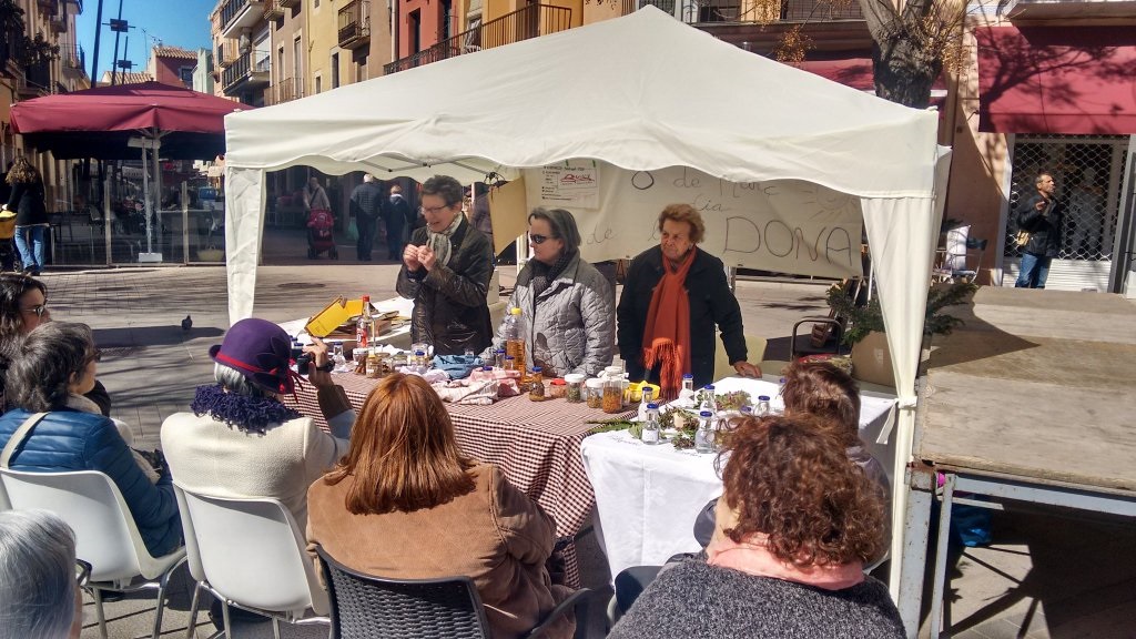 Dia internacional de la Dona