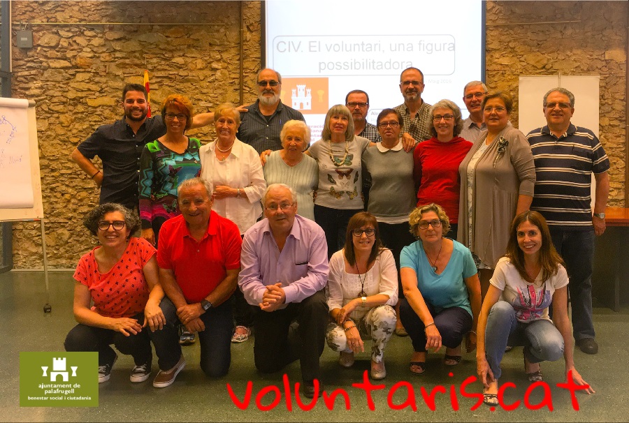 curs voluntariat