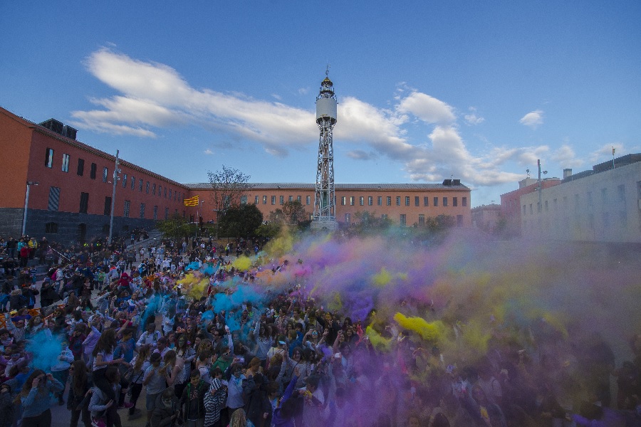 flors violes festa holi