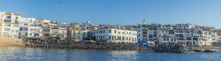 radikal 2015