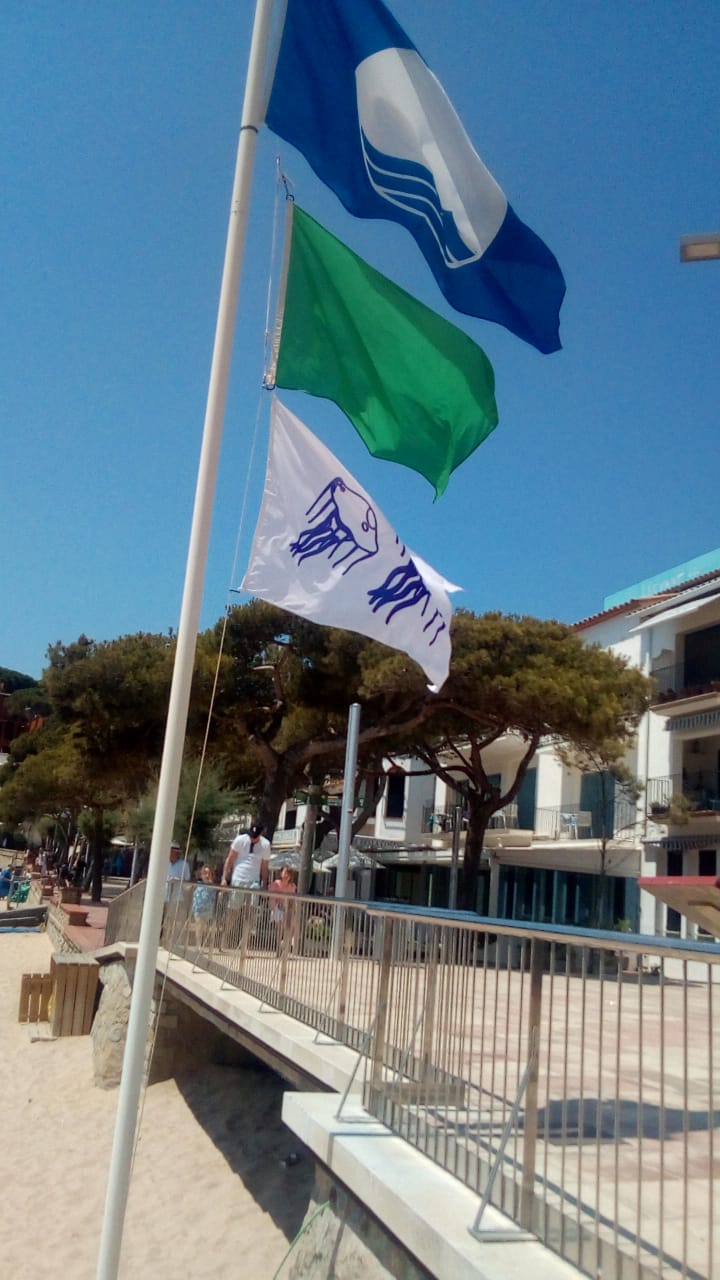 ”bandera