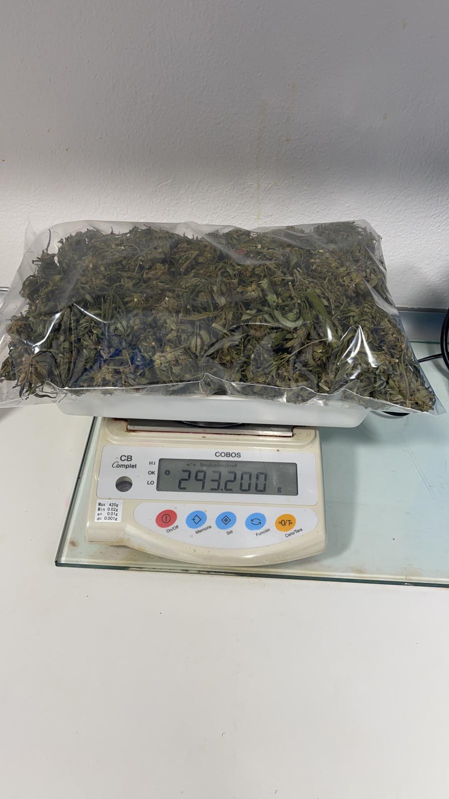 Policia Local, detenció delicte contra la salut pública, Palafrugell