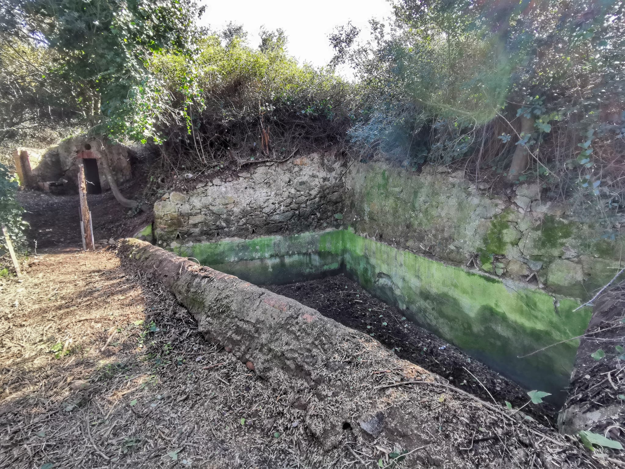 AEP, recuperació fonts del municipi, Palafrugell