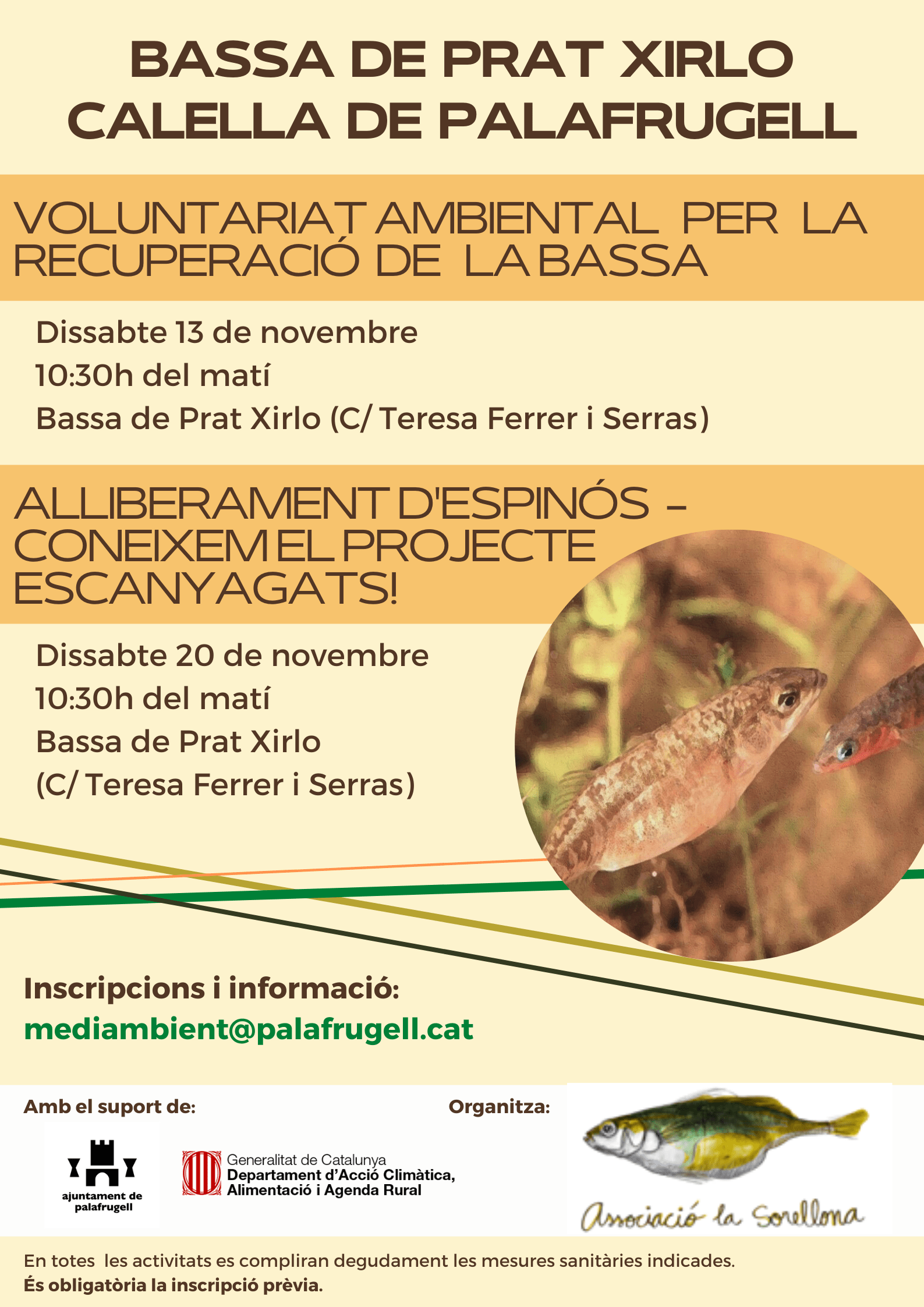 Activitats àrea Medi Ambient, Palafrugell