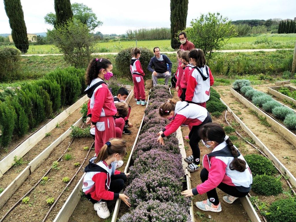 activitats Medi Ambient, escoles de Palafrugell
