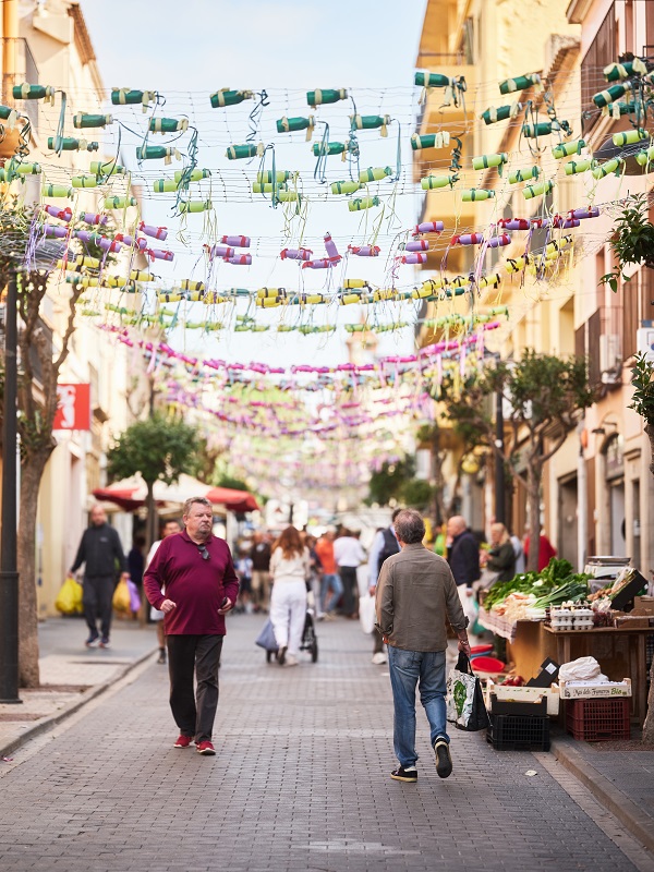 Flors i Violes 2023, IPEP, Ajuntament de Palafrugell