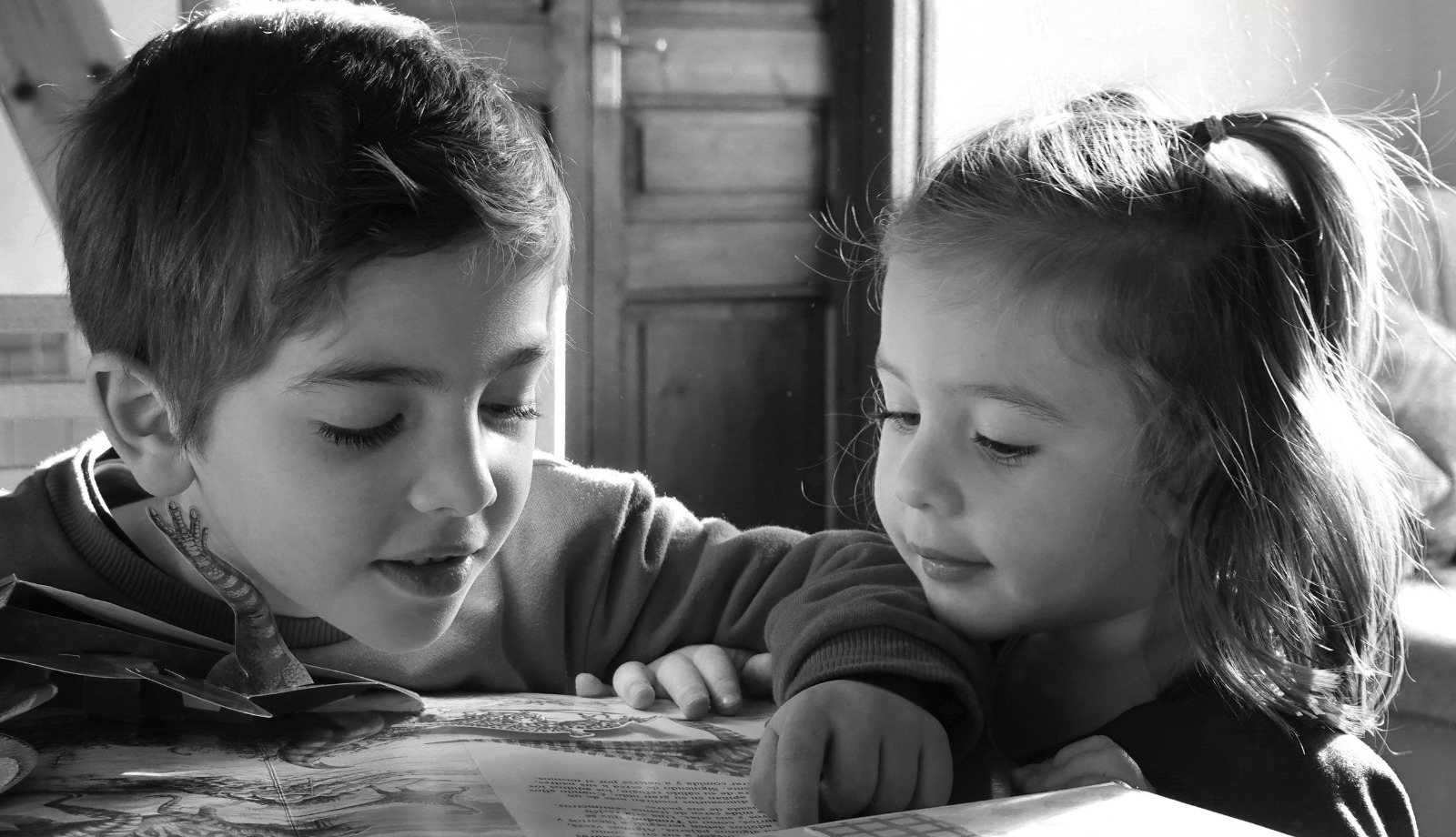 Premi de fotografia Palafrugell és educació, Àrea d’Educació, Ajuntament de Palafrugell