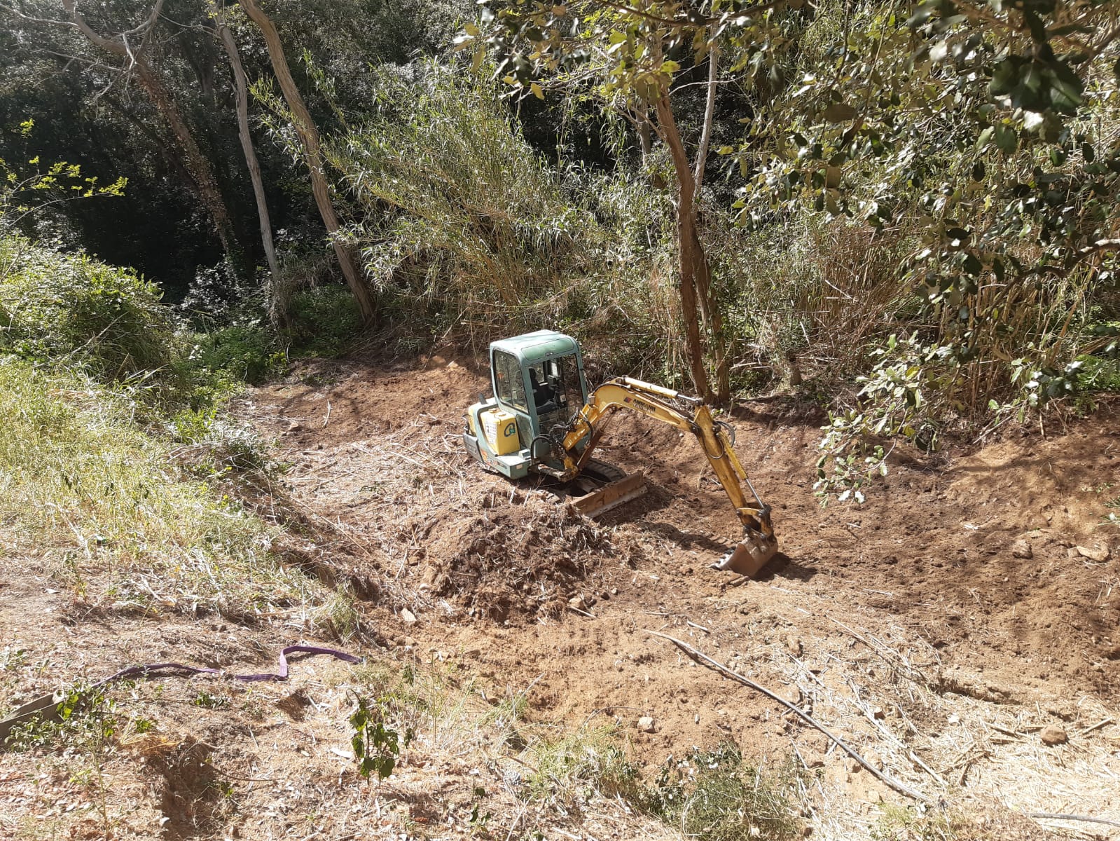 Actuació de neteja vegetal a la riera de Llafranc. Àrea Serveis Municipals, ACA, Ajuntament de Palafrugell