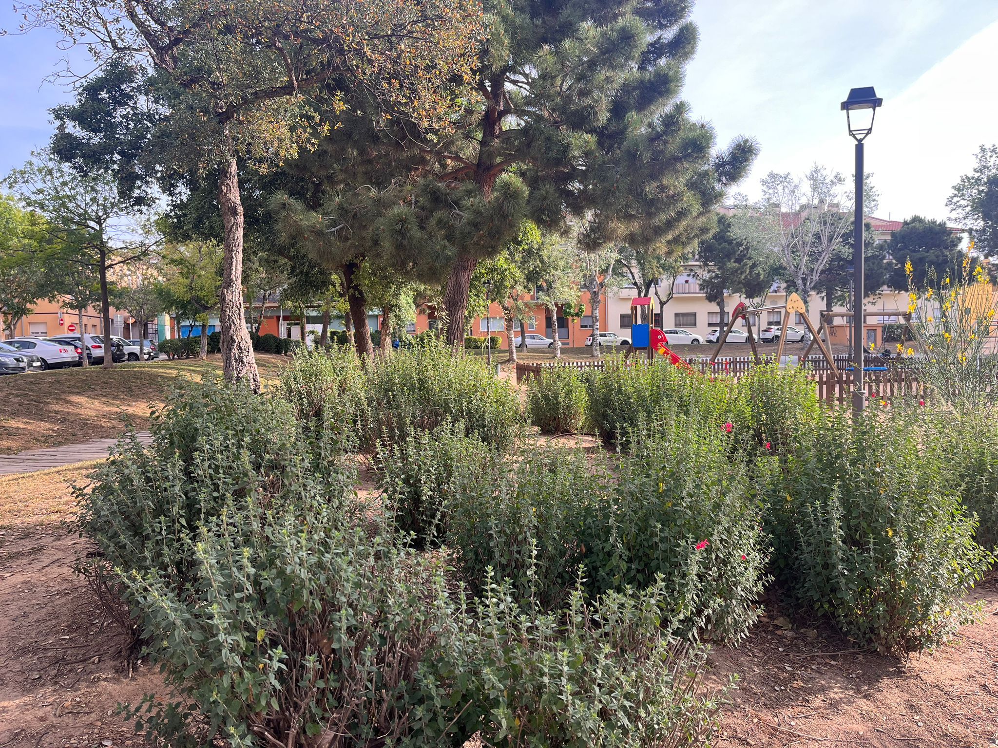 Decisions noves plantes per la sequera, Àrea de Serveis Municipals, Ajuntament de Palafrugell