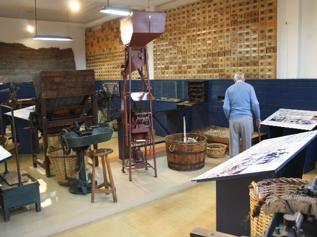 museu-del-suro-web