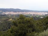 Vista del nucli de Palafrugell i les Gavarres al fons